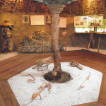 Coordinación general del Registro de bienes patrimoniales de las provincias de El Oro, Pastaza y Santa Elena de Ecuador. Museo etnológico del yacimiento de Cochasqui.