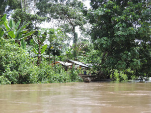 Coordinación general del Registro de bienes patrimoniales de las provincias de El Oro, Pastaza y Santa Elena de Ecuador. Viviendas kichwas en las orillas del río Curaray